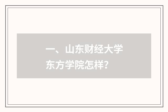 一、山东财经大学东方学院怎样？