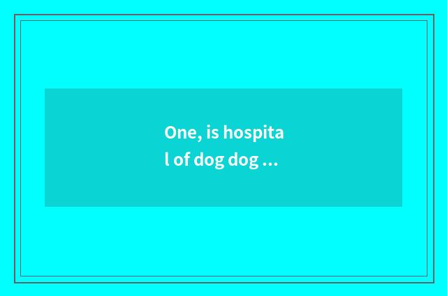 One, is hospital of dog dog pet online and free seek advice?