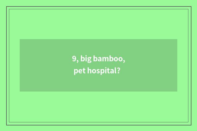 9, big bamboo, pet hospital?