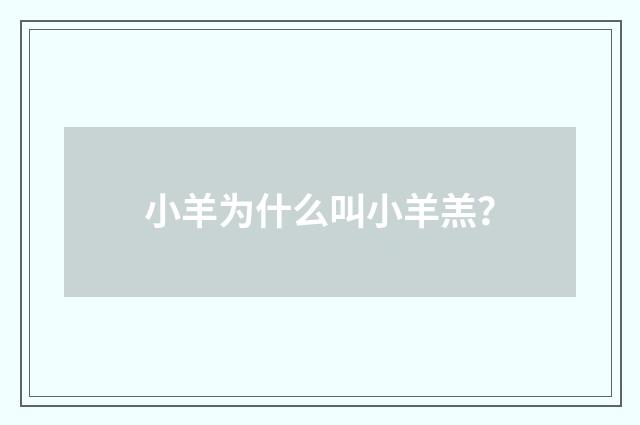 小羊为什么叫小羊羔？