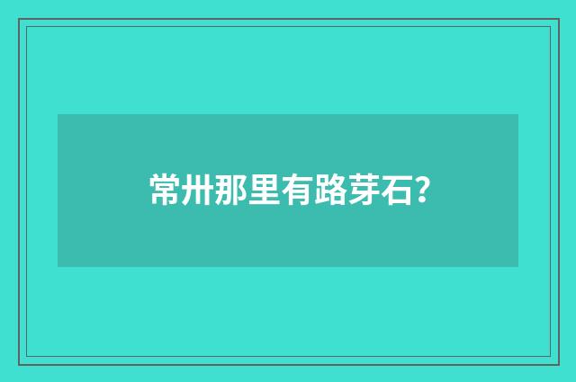 常卅那里有路芽石？