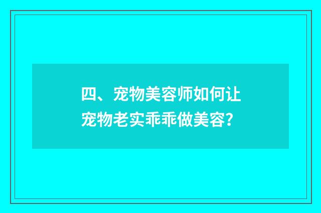 四、宠物美容师如何让宠物老实乖乖做美容？