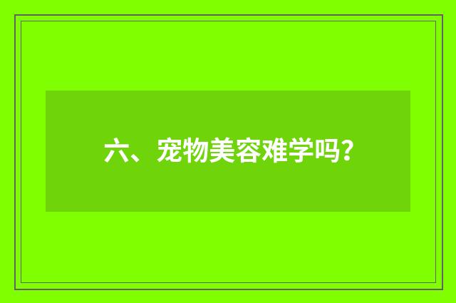 六、宠物美容难学吗？