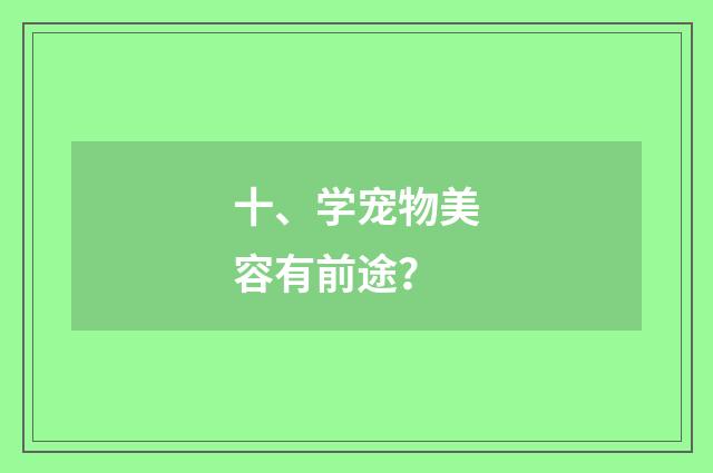 十、学宠物美容有前途？