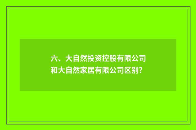 六、大自然投资控股有限公司和大自然家居有限公司区别？