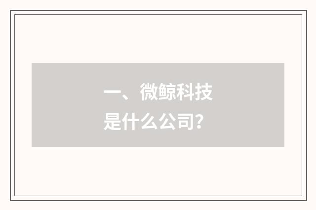 一、微鲸科技是什么公司？