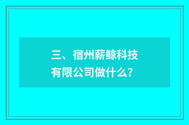 三、宿州薪鲸科技有限公司做什么？