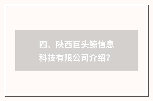四、陕西巨头鲸信息科技有限公司介绍？