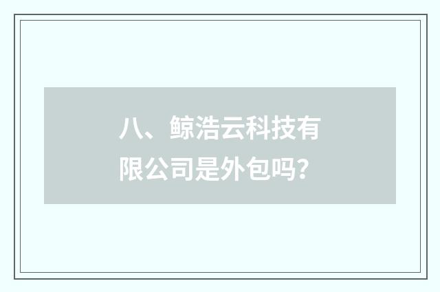 八、鲸浩云科技有限公司是外包吗？