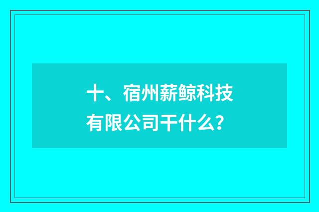 十、宿州薪鲸科技有限公司干什么？