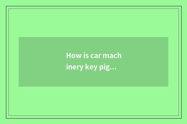 How is car machinery key pigheaded?