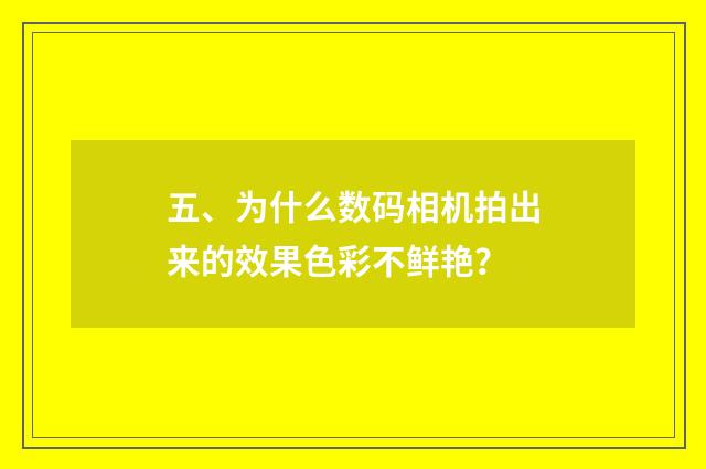五、为什么数码相机拍出来的效果色彩不鲜艳？