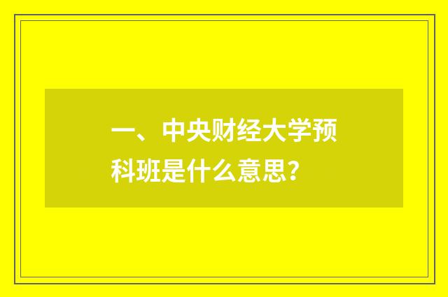 一、中央财经大学预科班是什么意思？