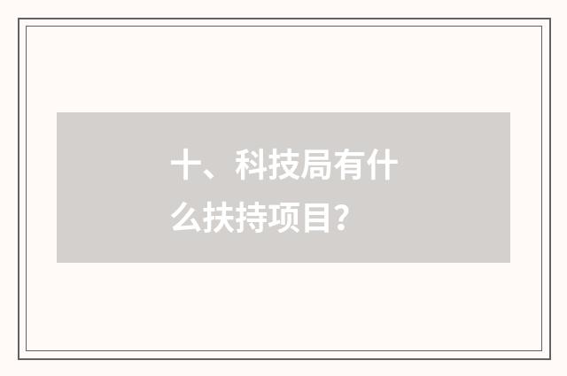 十、科技局有什么扶持项目？