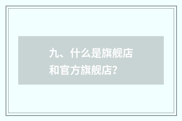 九、什么是旗舰店和官方旗舰店？