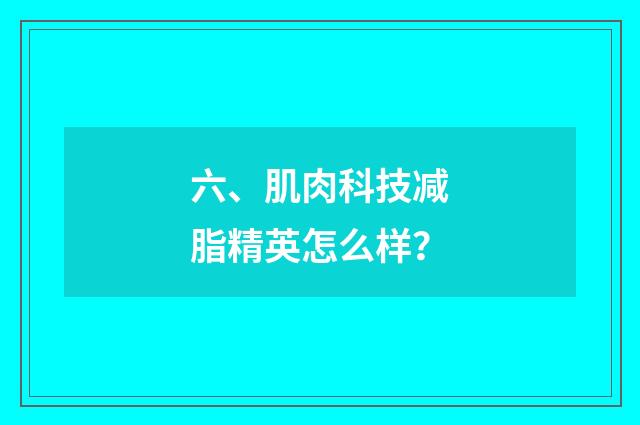 六、肌肉科技减脂精英怎么样？