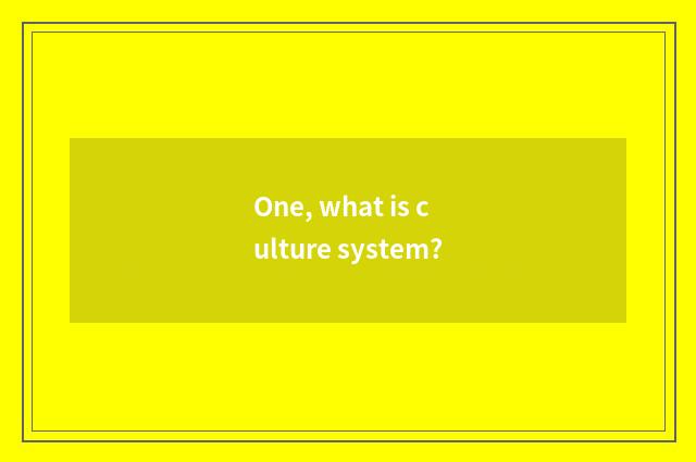 One, what is culture system?
