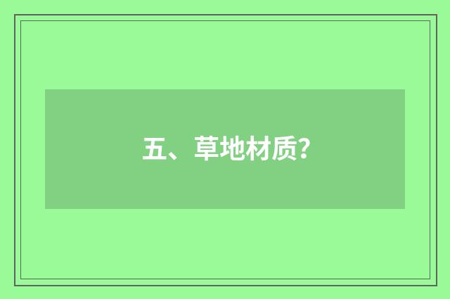五、草地材质？