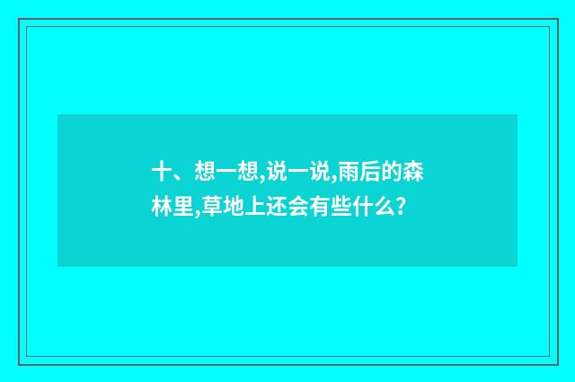 十、想一想,说一说,雨后的森林里,草地上还会有些什么？