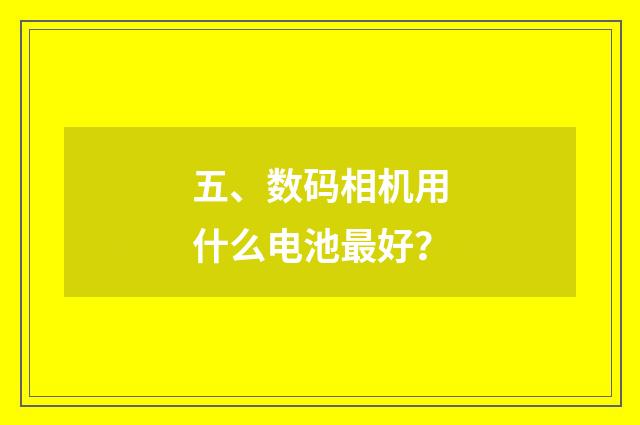 五、数码相机用什么电池最好？