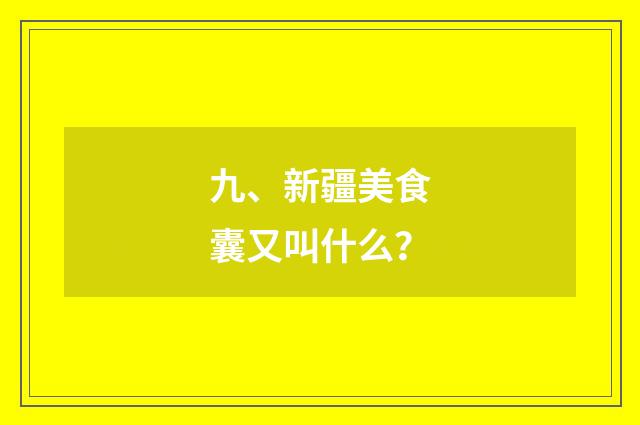 九、新疆美食囊又叫什么？