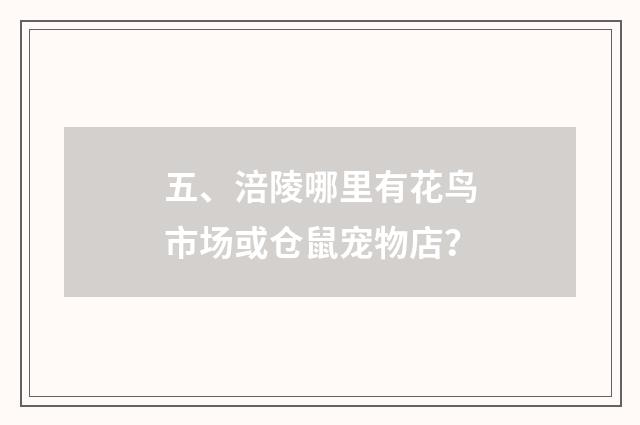 五、涪陵哪里有花鸟市场或仓鼠宠物店？