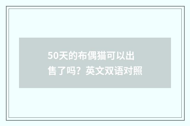 50天的布偶猫可以出售了吗？英文双语对照