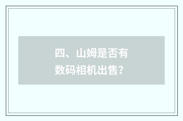 四、山姆是否有数码相机出售？