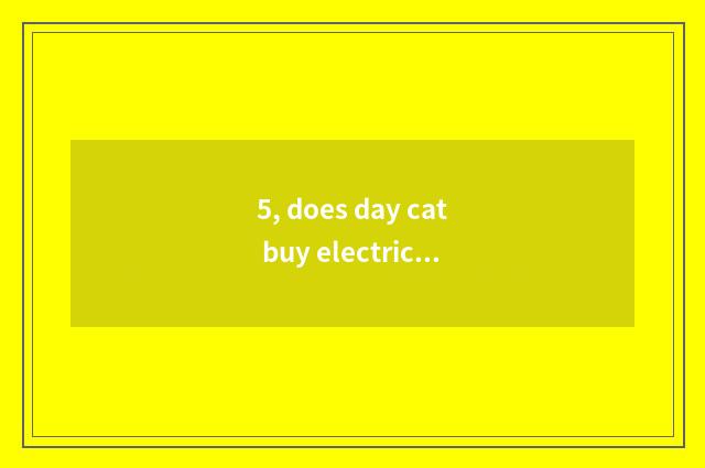 5, does day cat buy electric equipment authentic?