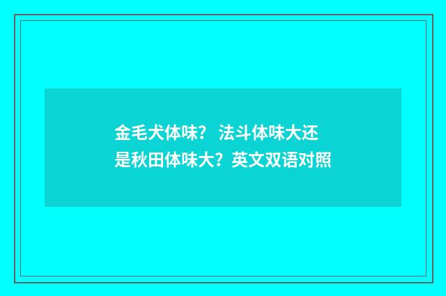 金毛犬体味？ 法斗体味大还是秋田体味大？英文双语对照