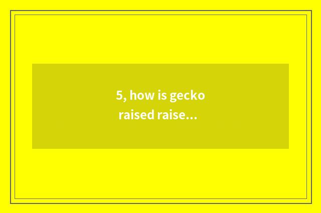 5, how is gecko raised raise gecko?