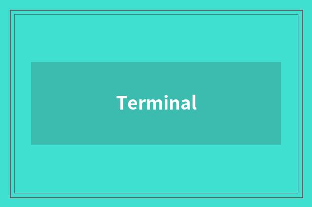 Terminal
