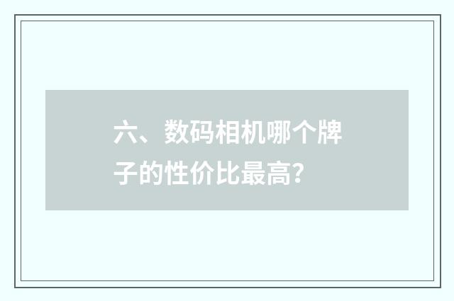 六、数码相机哪个牌子的性价比最高？