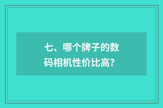 七、哪个牌子的数码相机性价比高?