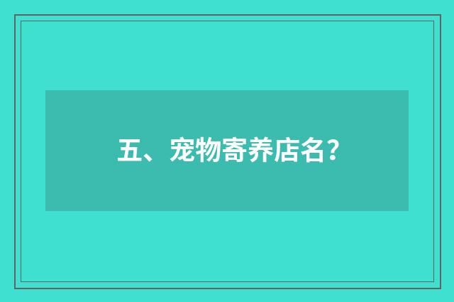 五、宠物寄养店名？
