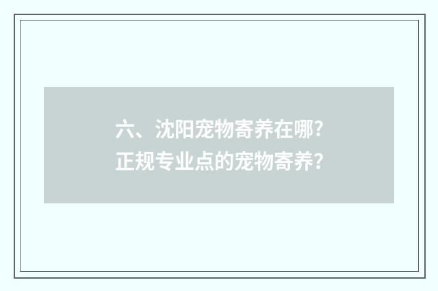 六、沈阳宠物寄养在哪?正规专业点的宠物寄养？