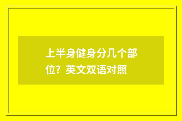 上半身健身分几个部位？英文双语对照