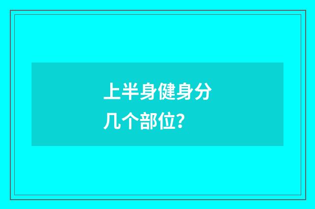 上半身健身分几个部位？
