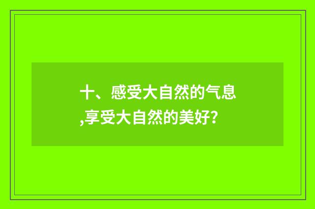 十、感受大自然的气息,享受大自然的美好？