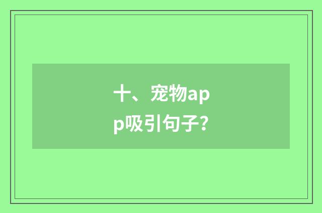 十、宠物app吸引句子?
