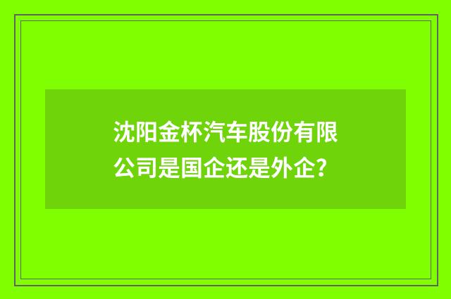 沈阳金杯汽车股份有限公司是国企还是外企？