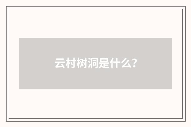 云村树洞是什么？