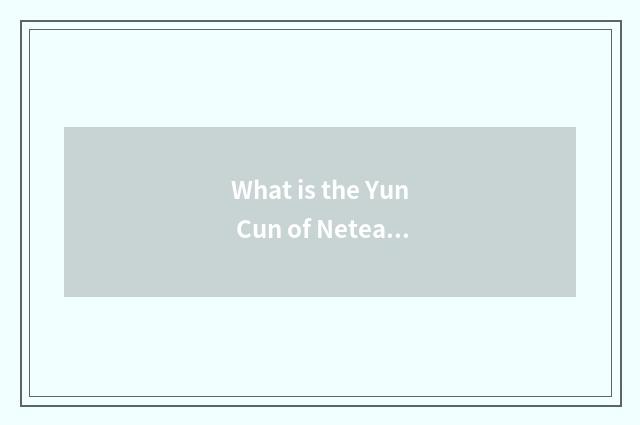 What is the Yun Cun of Netease cloud music?
