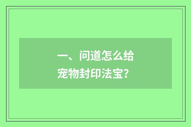 一、问道怎么给宠物封印法宝？