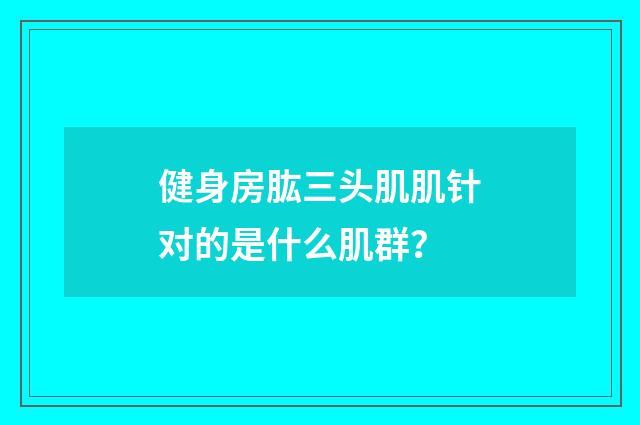 健身房肱三头肌肌针对的是什么肌群？