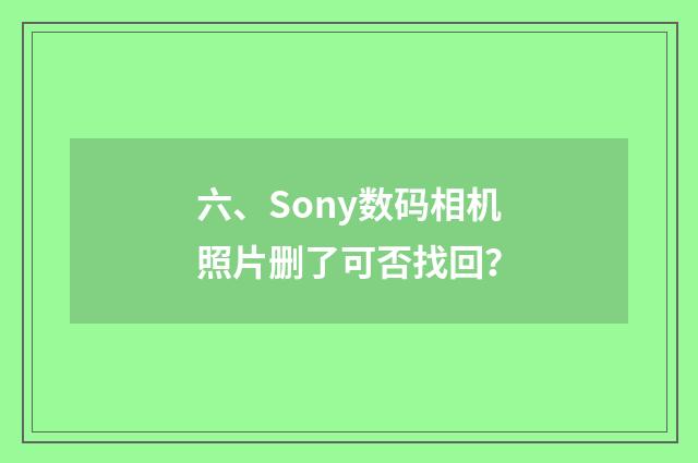 六、Sony数码相机照片删了可否找回？