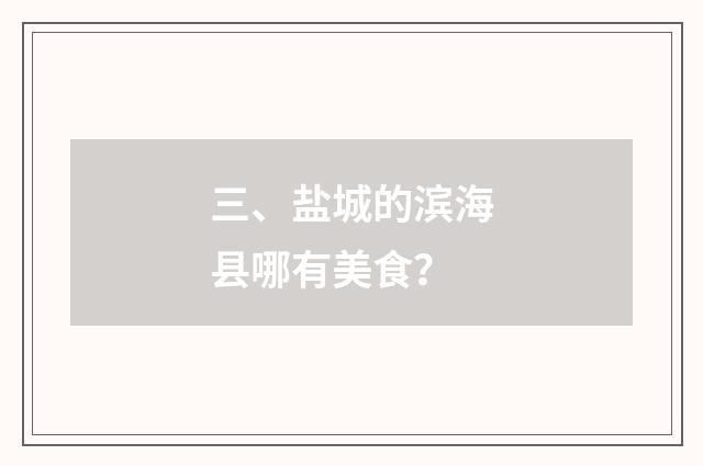 三、盐城的滨海县哪有美食？