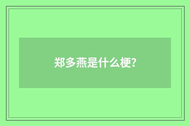 郑多燕是什么梗？