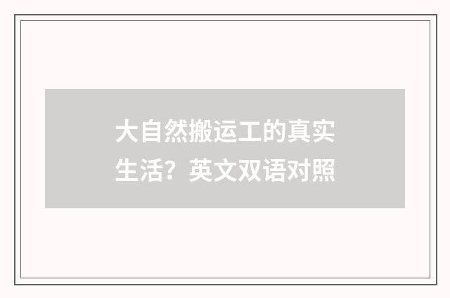 大自然搬运工的真实生活？英文双语对照