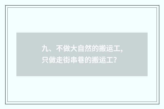 九、不做大自然的搬运工,只做走街串巷的搬运工？